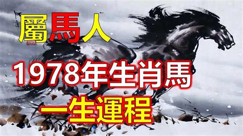 1978 屬|【1978 屬什麼】1978屬馬的人注意了！42歲後運勢大。